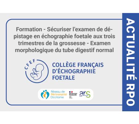 Formation - Sécuriser l’examen de dépistage en échographie foetale aux trois trimestres de la grossesse - Examen morphologique du tube digestif normal