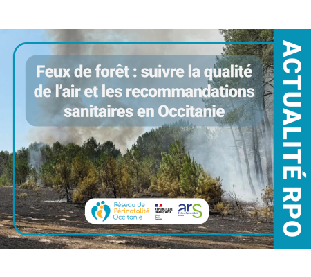 Feux de forêt : suivre la qualité de l'air et les recommandations sanitaires en Occitanie