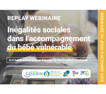 Replay webinaire - Inégalités sociales de santé dans l’accompagnement du bébé vulnérable