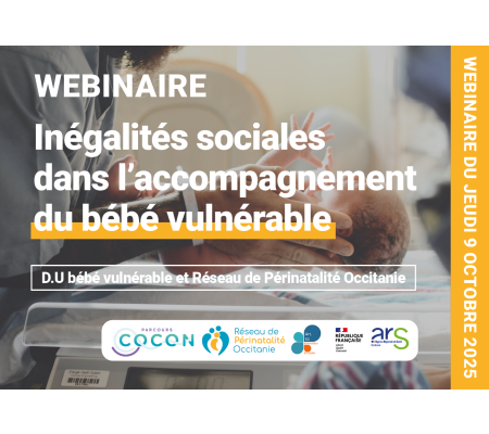 Webinaire - Inégalités sociales de santé dans l’accompagnement du bébé vulnérable