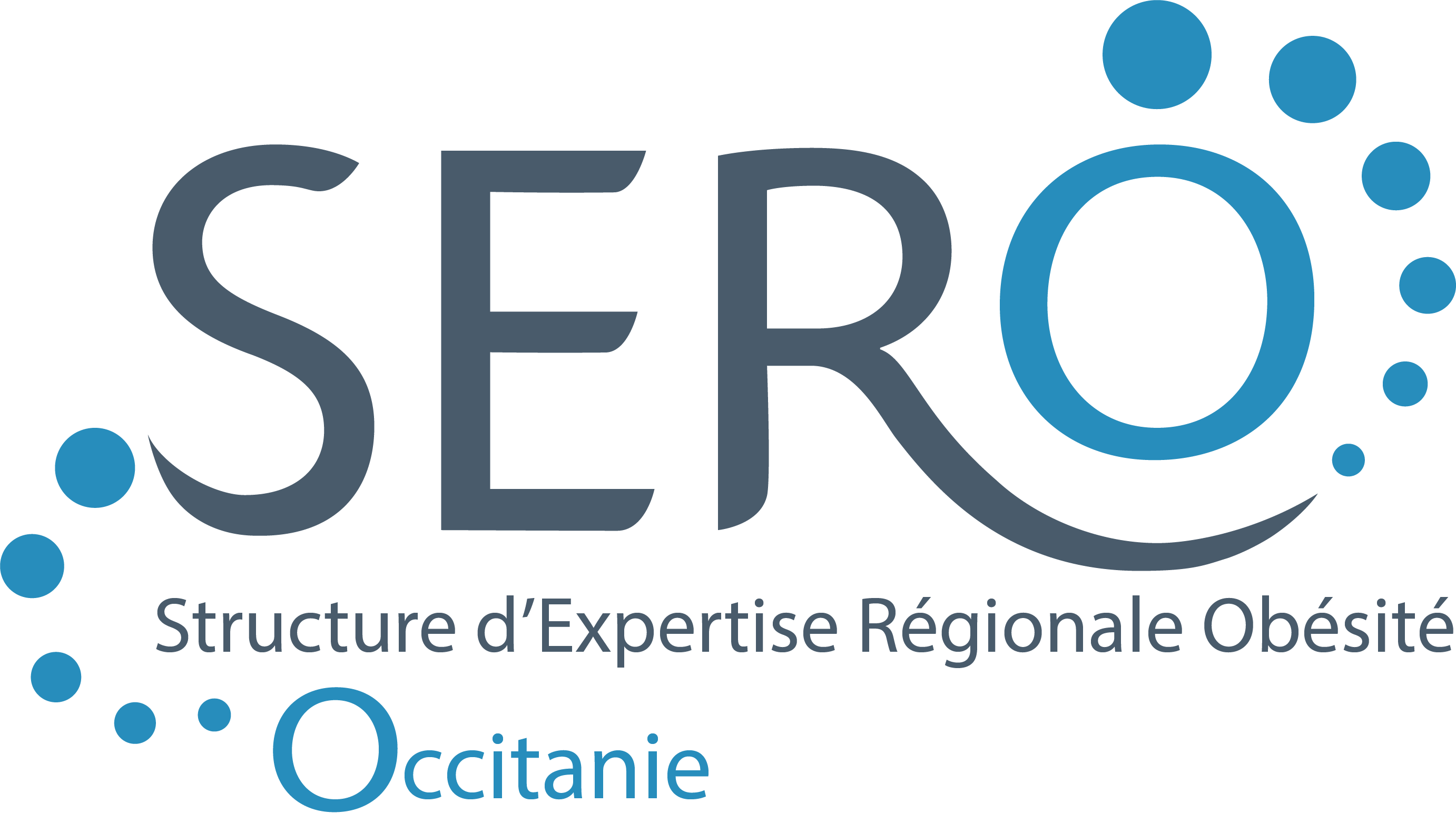 logo sero